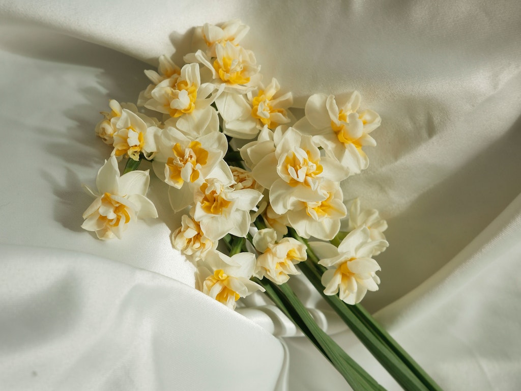 fleure-de-therapie fleure-de-therapie